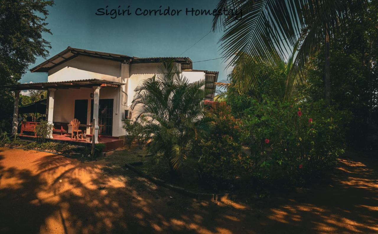 Sigiri Corridor Home Stay 시기리야 외부 사진