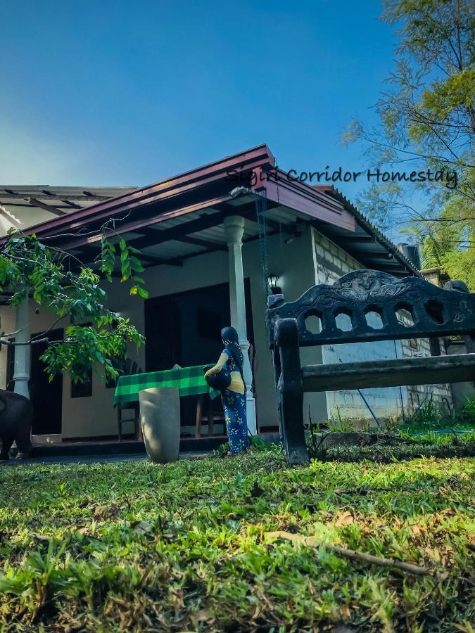 Sigiri Corridor Home Stay 시기리야 외부 사진
