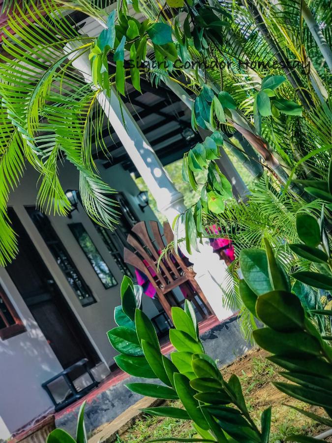 Sigiri Corridor Home Stay 시기리야 외부 사진